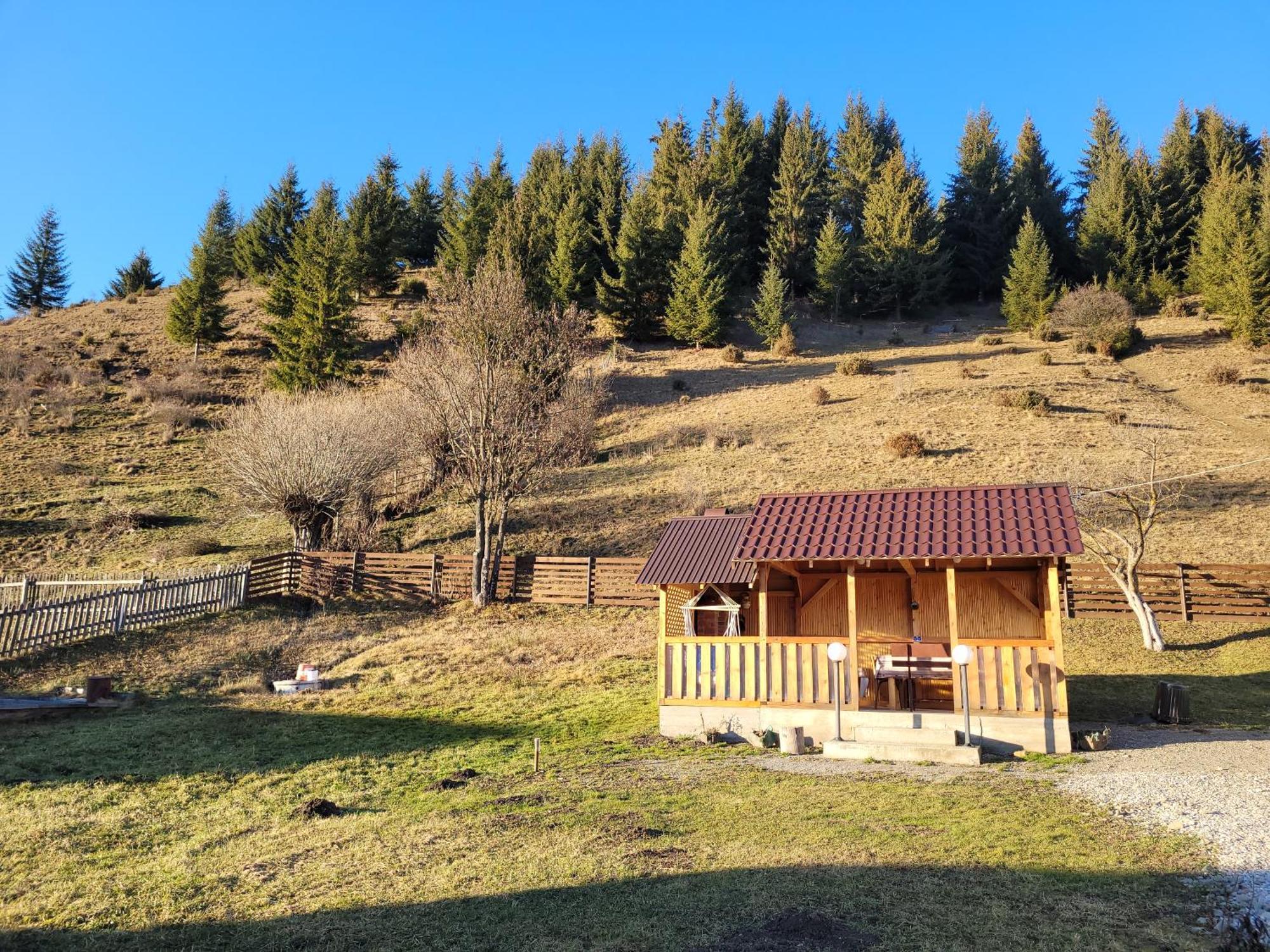 Villa Casa Abp à Vatra Dornei Extérieur photo