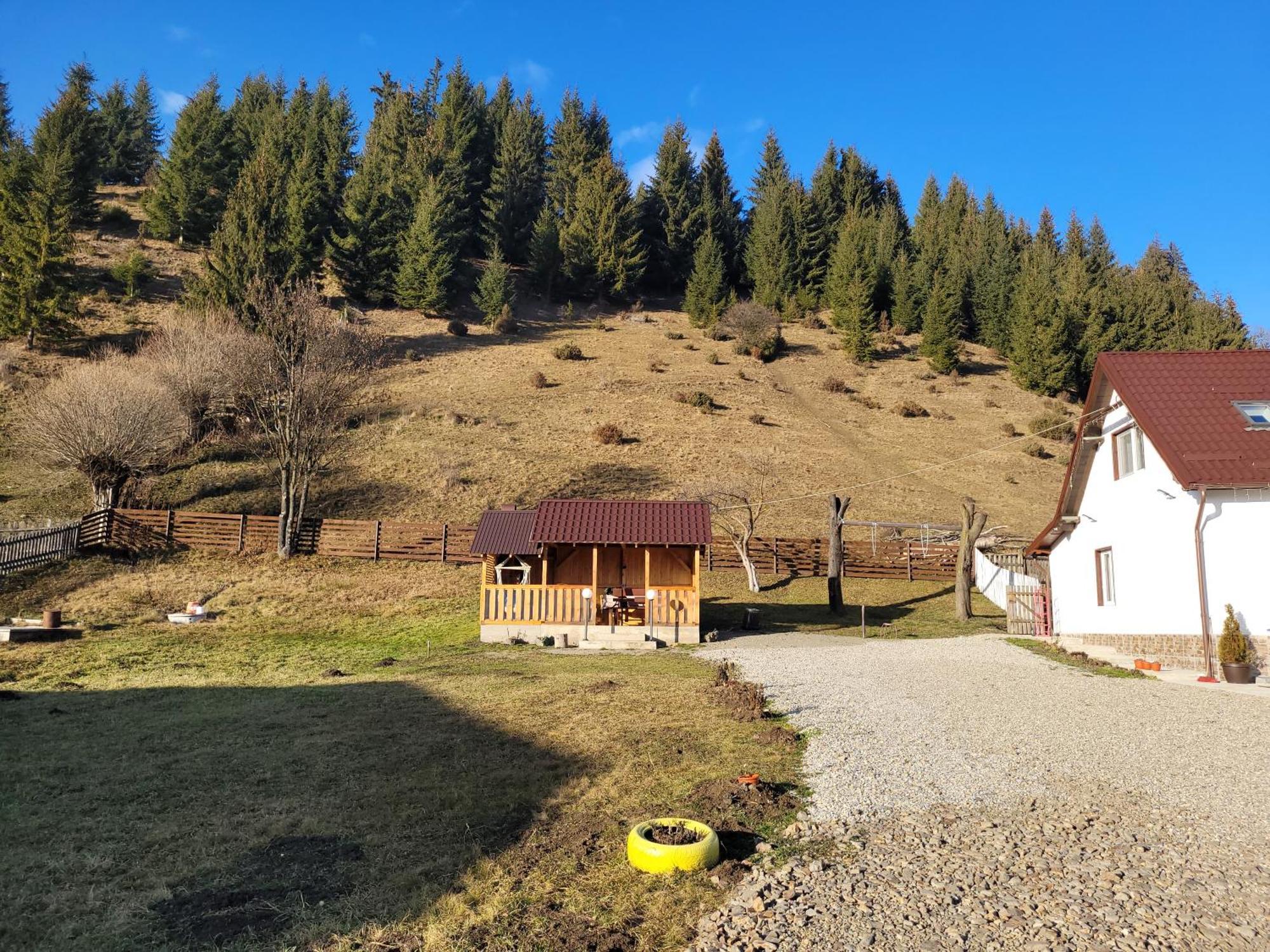 Villa Casa Abp à Vatra Dornei Extérieur photo